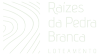logo-raizes