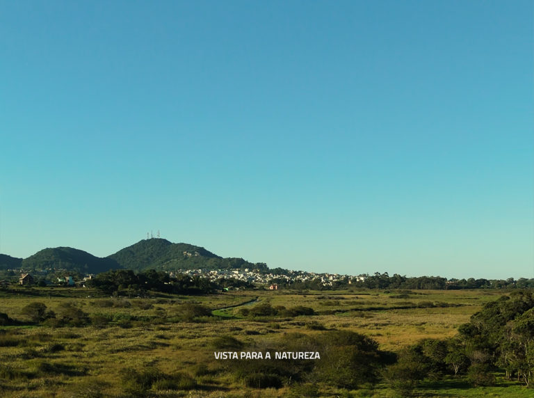 Lote 32 – Quadra D